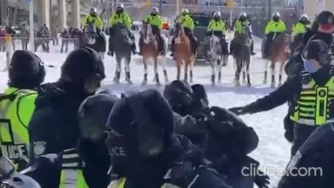 CANADA: The peaceful protesters in Ottawa are getting beaten down, trampled and chemically attacked