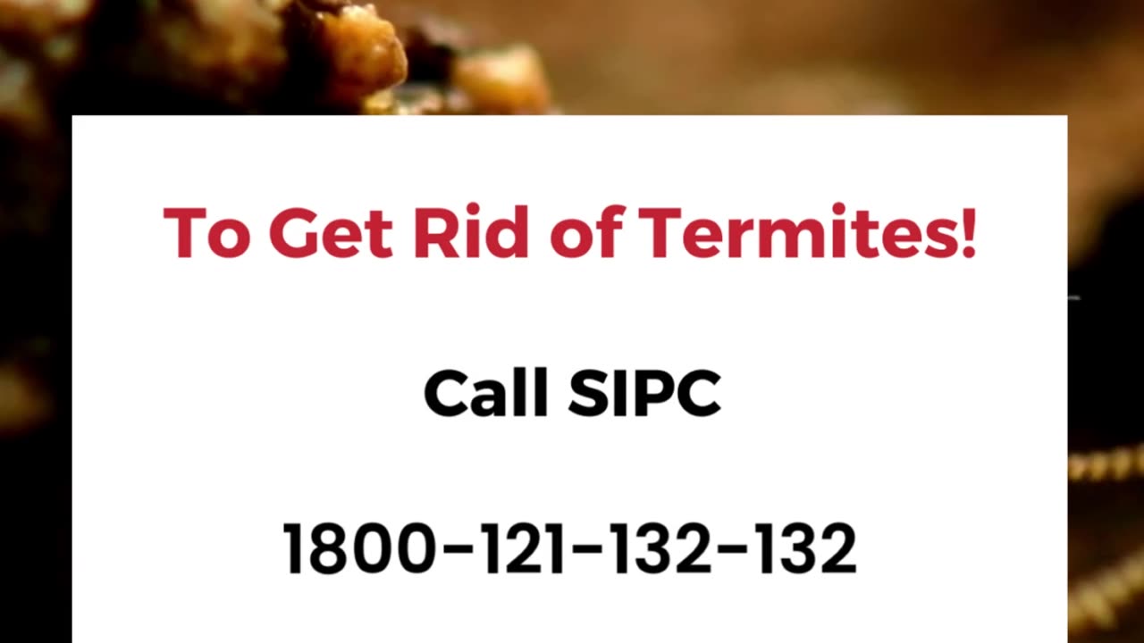 Termite Control Hyderabad