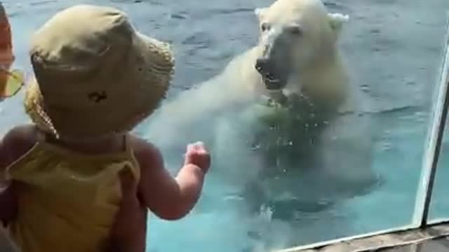 Mom and baby get an unexpected surprise from a Polar Bear at the zoo!