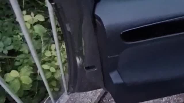 Car Door Caught in Fence