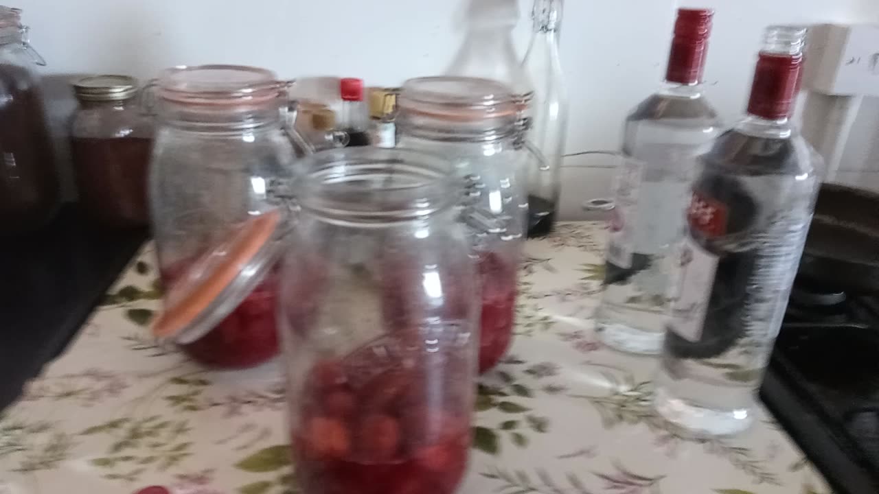 Plum Vodka