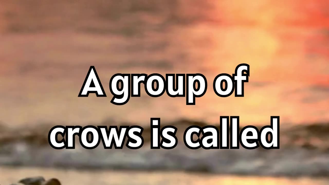 239