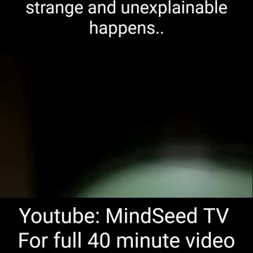 Mind Seed