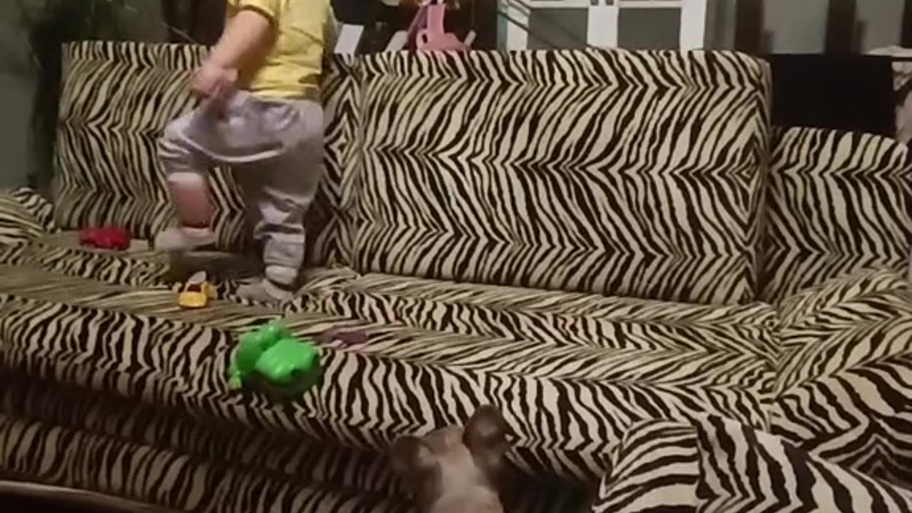 A boy helps his puppy climb onto the sofa