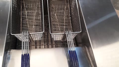 Electric Fryer