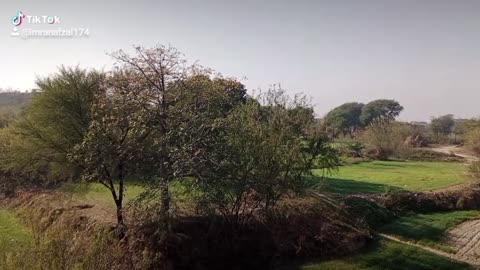 Mera pind