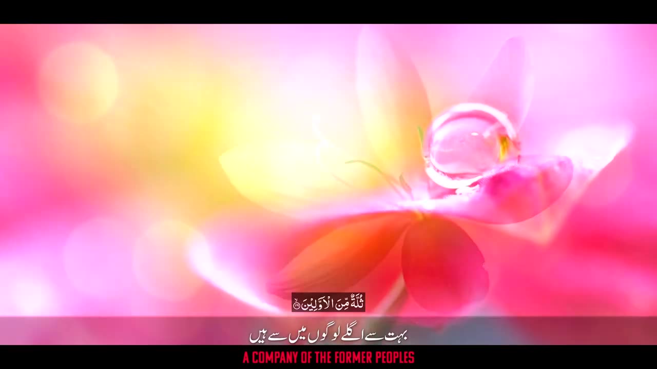 Surah Waqiah (سورة الواقعة) with URDU Translation