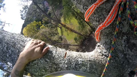 DROPPING BOMBS FEOM 93FOOT, ON POINT!