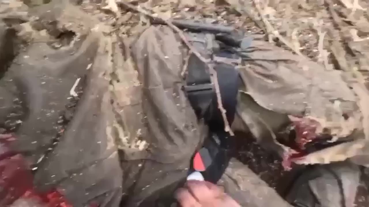 Hope Western leaders are seeing these with billions of weapons to Ukraine and AFU Soldiers are dieing