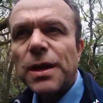 The cowboys with the black hats