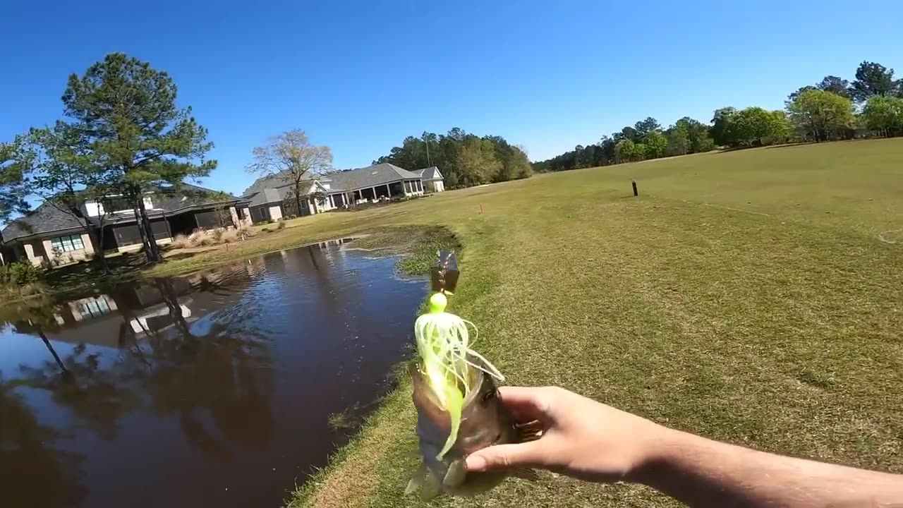 Giant bass fishing in little ponds