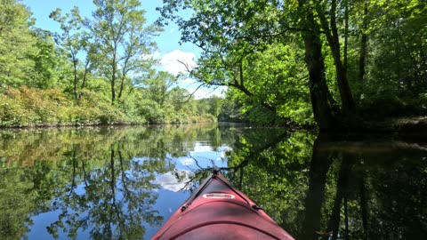 Beltzville NE Tributary
