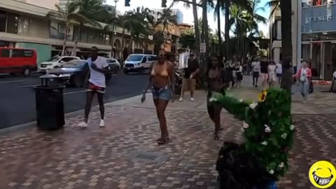Funny Bushman moments!