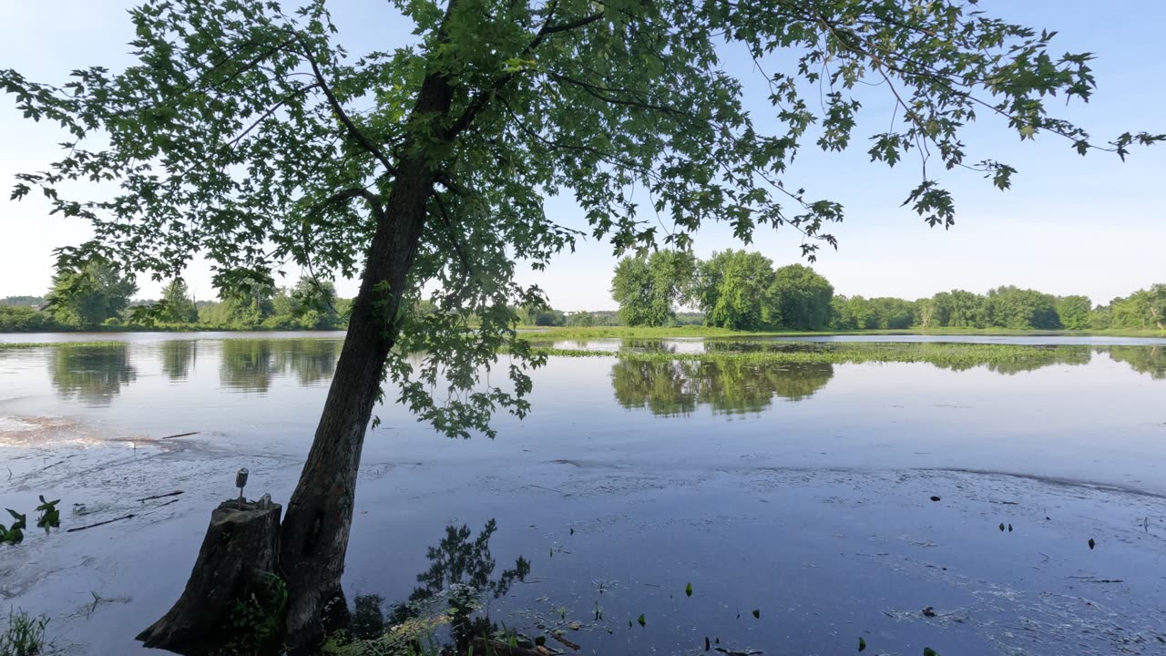 🌴 Petrie ☀️ Island Marina Trails Part 2 In Ottawa 🌊 Canada 🍁