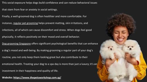 Regular Dog Grooming: A Key to Reducing Stress and Anxiety — The Pets Workshop