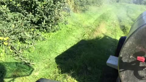 Orchard spraying