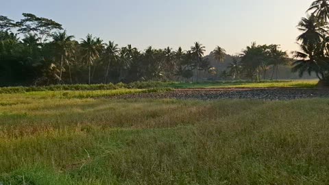 Simple Beauty: Sunrise in the Village