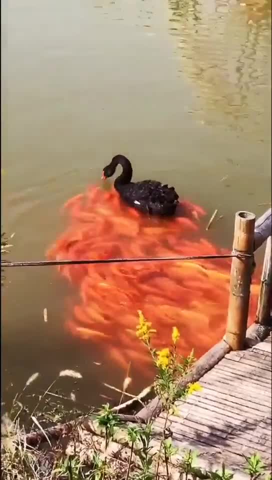 Big stars are also very upset!