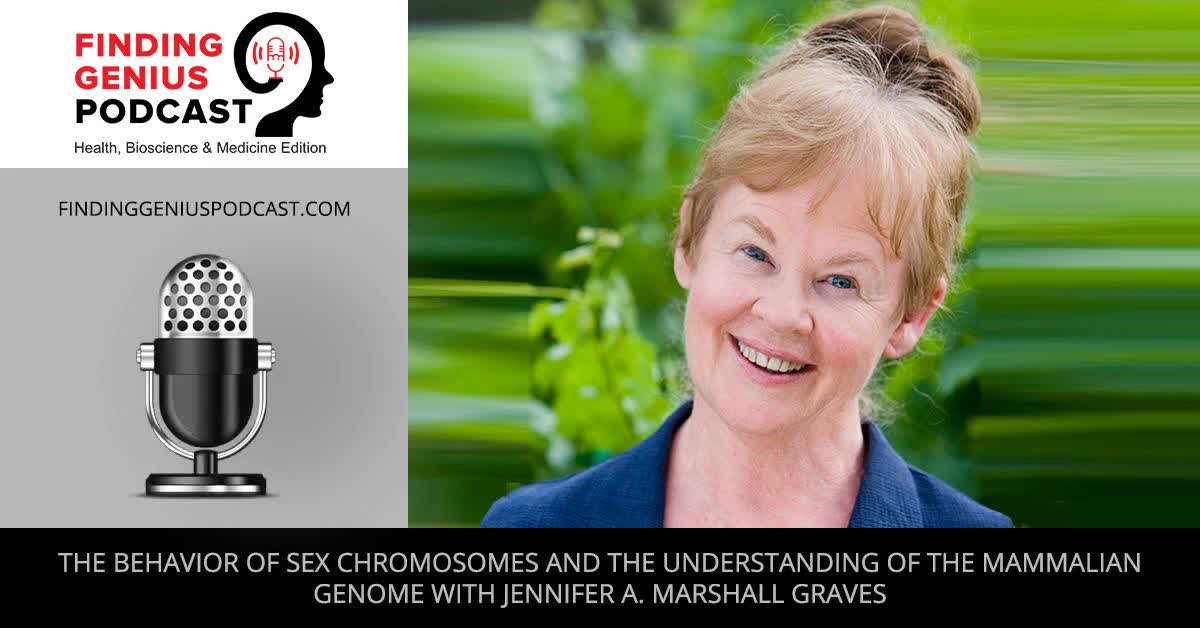 The Behavior of Sex Chromosomes and the Understanding of the Mammalian Genome