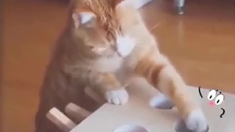 💗 Cute And Funny Pets | Try Not To Laugh To These Pets Compilation💗