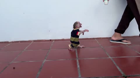 My baby monkey minea walking on two legs like mom