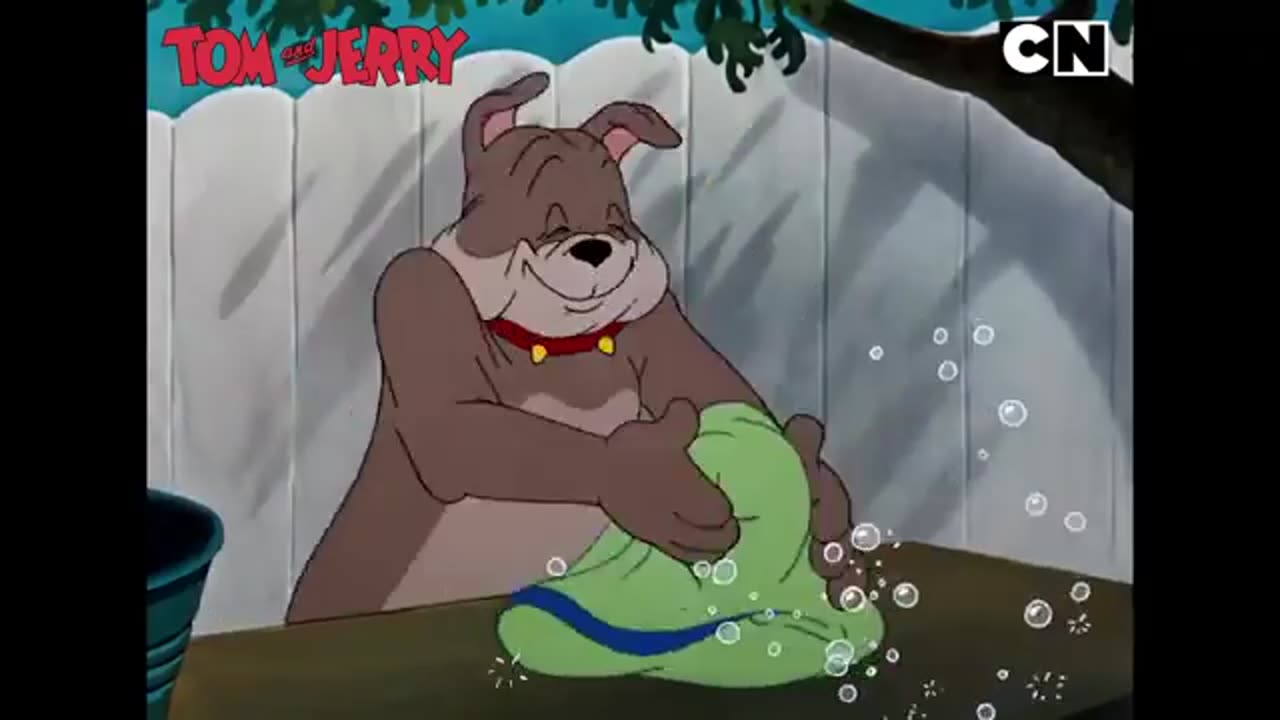 Tom & Jerry Cartoon Collection Part 5