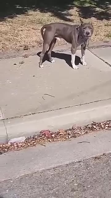 Calm down, Fool 😂