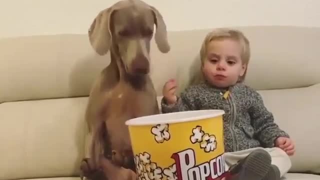 Dogs that share food with babies