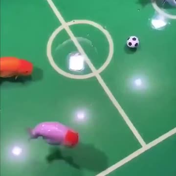 Fish football.