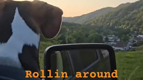 Bo Loves the WV Mountain views