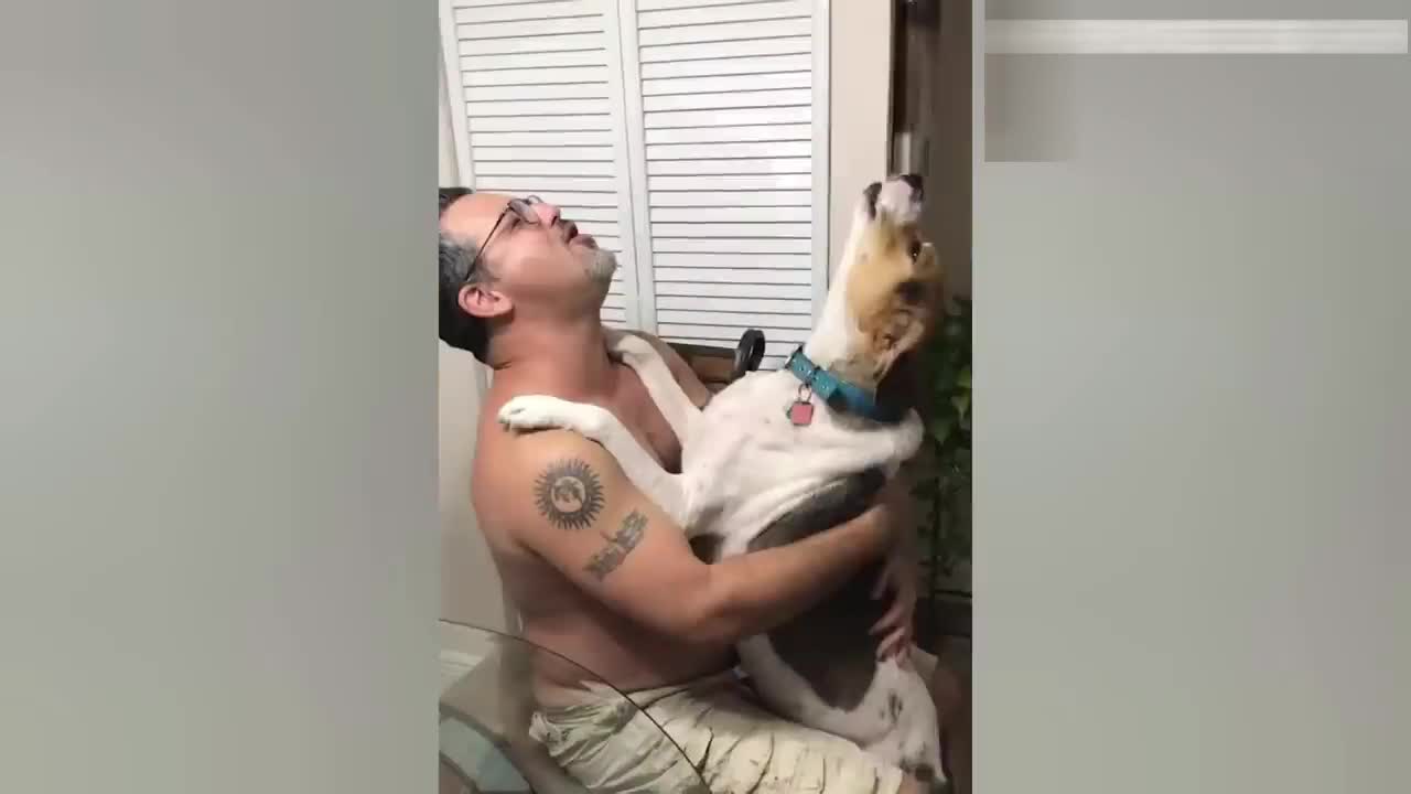 funny dogs🐶 and funny cats😺 funny moment..TRY NOT TO LAUGH 😆🤣🤣🤣🤣🤣😁😁