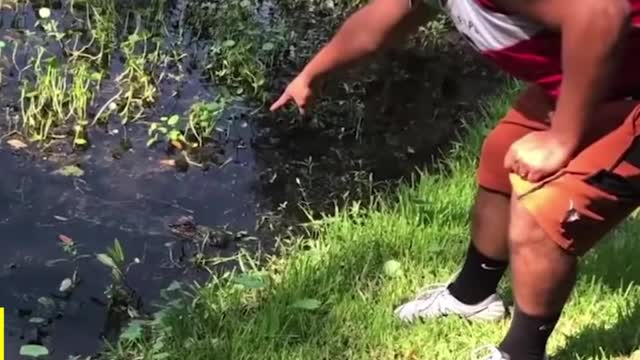 Ultimate Funny Scared Reactions