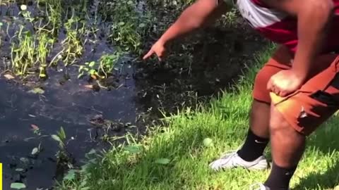 Ultimate Funny Scared Reactions
