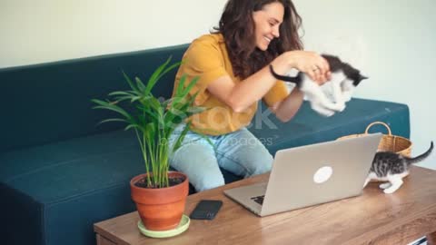 A young woman working on a laptop while two little kittens running around laptop