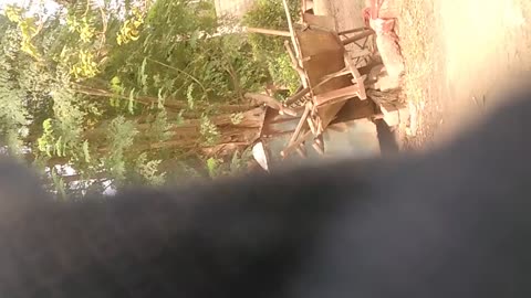 How to be a new 😜 to get a free 🆓🆓 to get rid of a