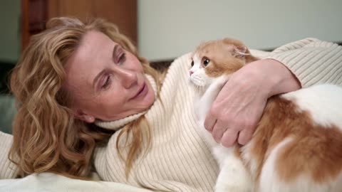Joyful Moments: Playful Cat Bonding with Loving Lady | Heartwarming Pet Companionship