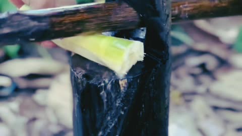 Sugarcane juice