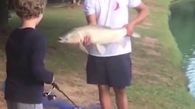 New Best Funny Video Clips 2021 #shorts
