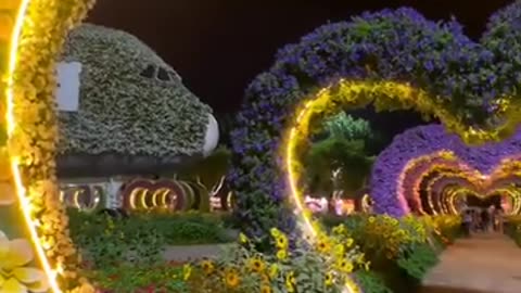 Miracle garden