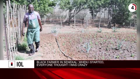 A roundup of IOL's Top 5 stories this week - October 23, 2020