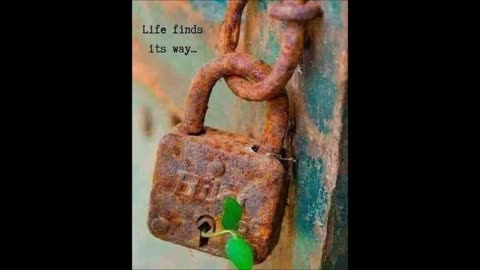 Life Finds A Way
