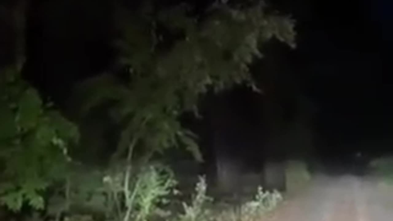 Woman has a scary encounter with something screaming in the woods