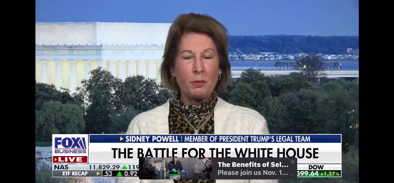 Sidney Powell tells how the Biden/Harris ticket stole your vote!
