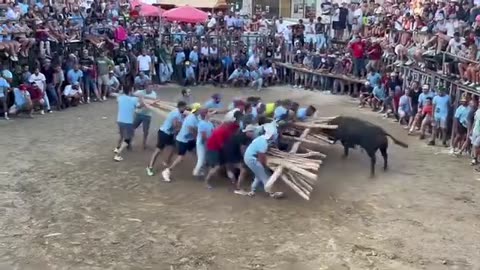 "Foios Festival 2024: Tradition, Music, and Fireworks (August 8-18)