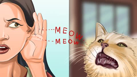 How to Tell if a Cat Has a Sore Throat