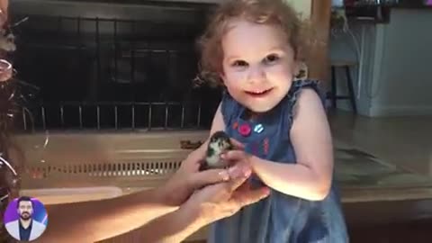 more funnny videos