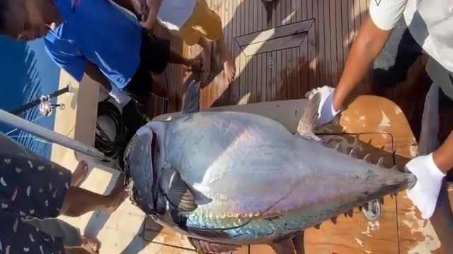 Challenges Giant fishing at sea