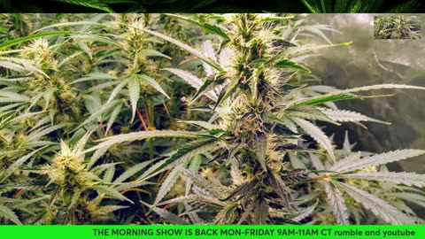 smoke the day away v2