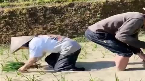 Ttk videos
