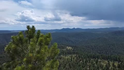 Hiked up to Buzzard's Roost!